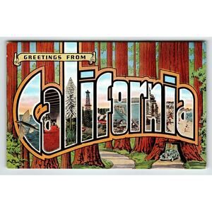 Greetings From California Large Letter Linen Postcard Flying Fish Trees Kropp